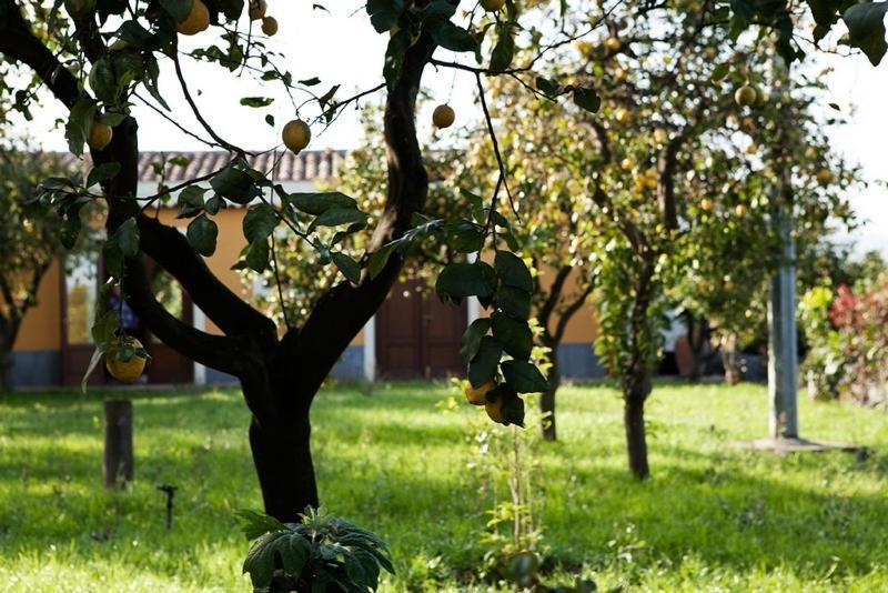 Villa La Terra Del Mezzo Riposto Habitación foto